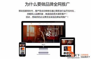 全网营销公司如何为企业高效执行全网营销服务